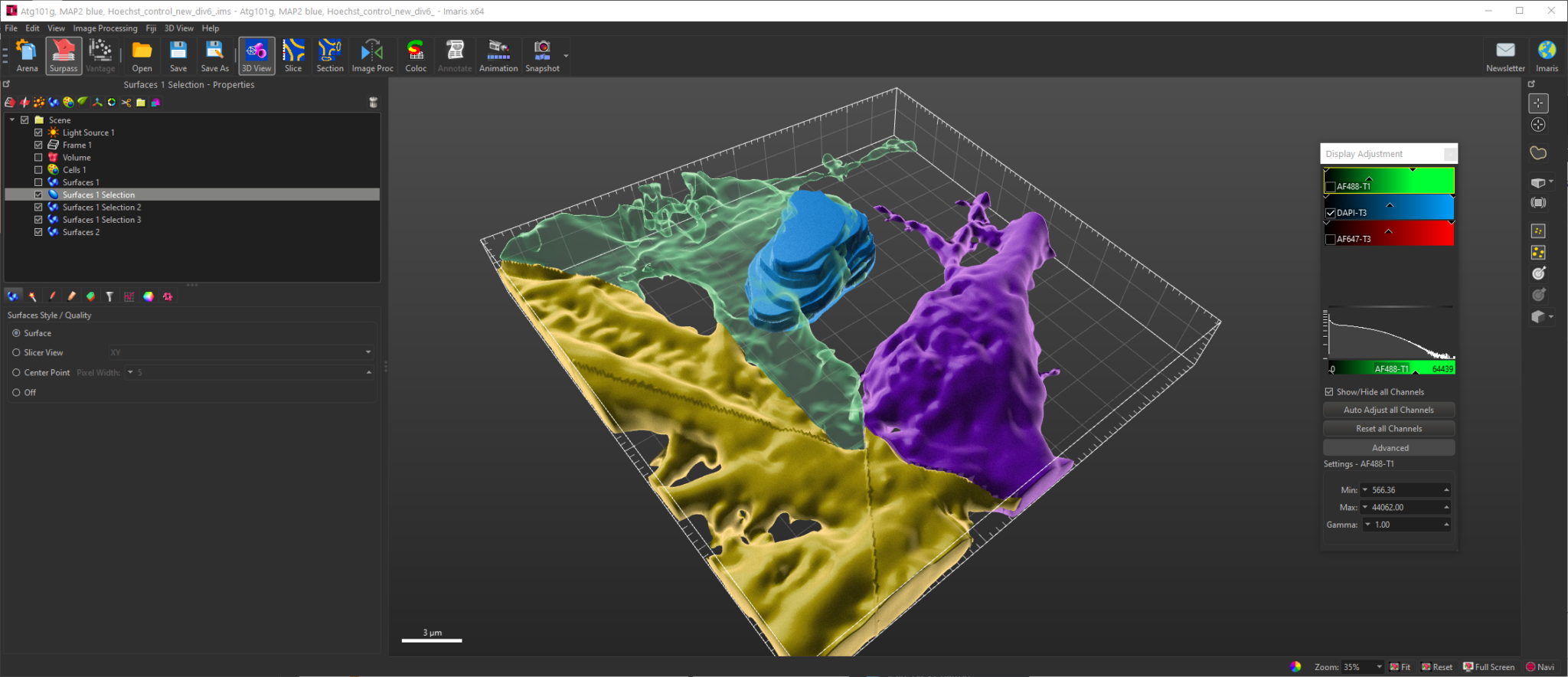 Software – Cellular Imaging Facility